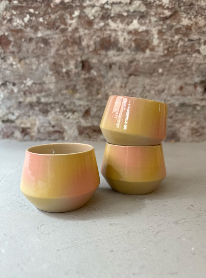 FADE / BLOOM / CUP