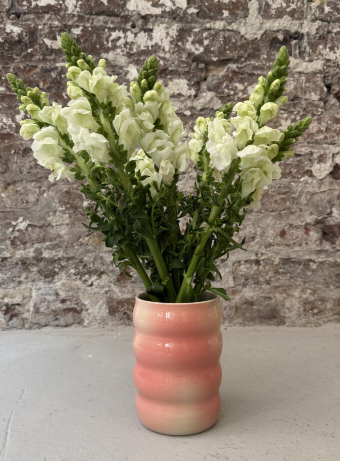 FADE / BLUSH / VASE