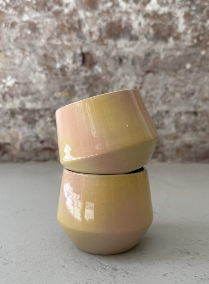 FADE / BLOOM / CUP