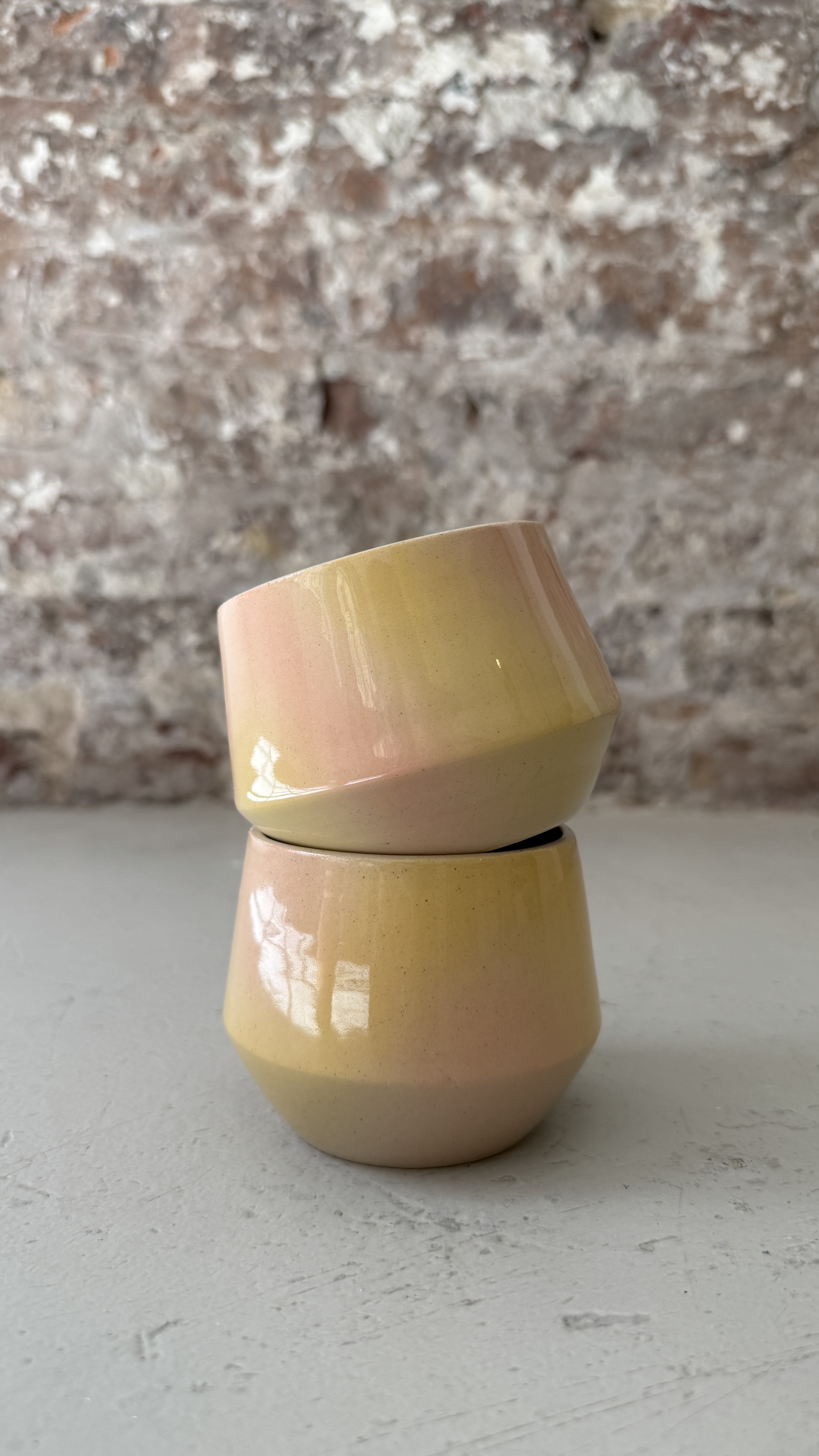 FADE / BLOOM / CUP