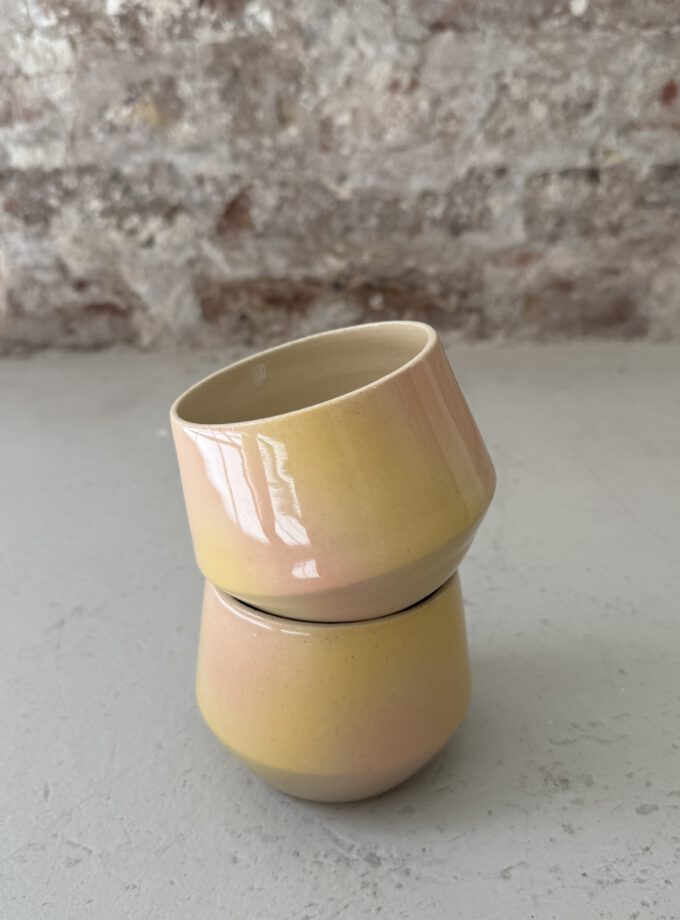 FADE / BLOOM / CUP