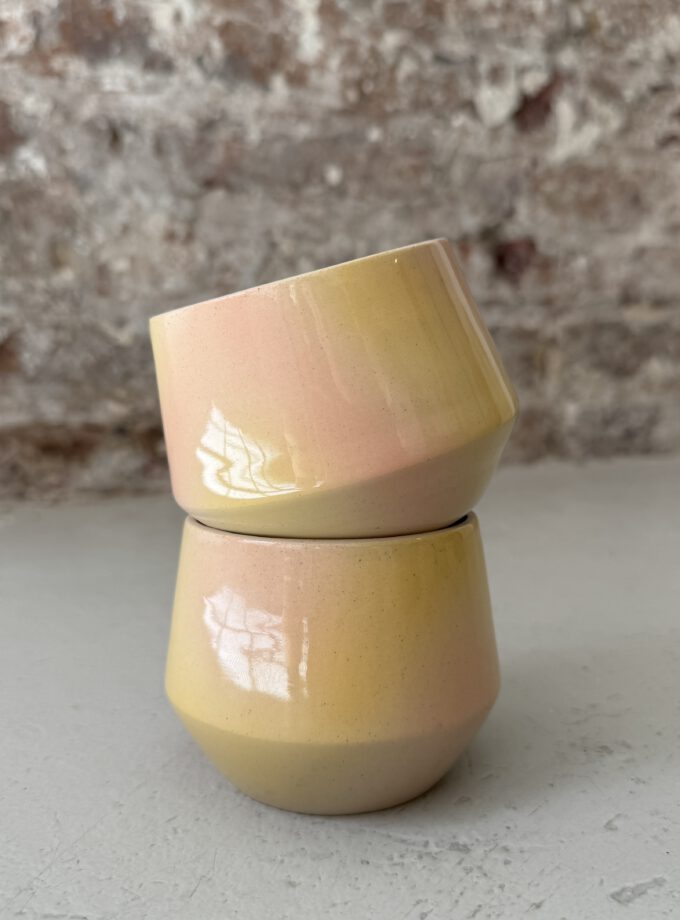 FADE / BLOOM / CUP
